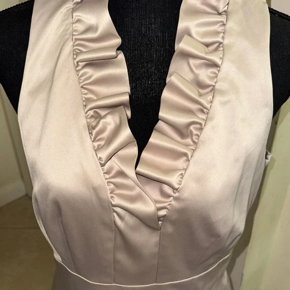 NWT Just Taylor Elegant Sleeveless Ruffle Neck Dress - beige size 12 - Picture 3 of 8